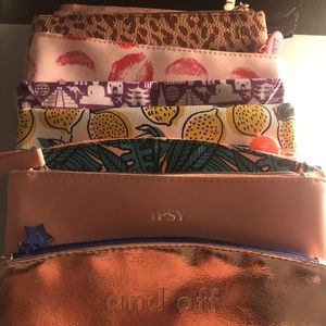 9 Ipsy Cosmetic Bags